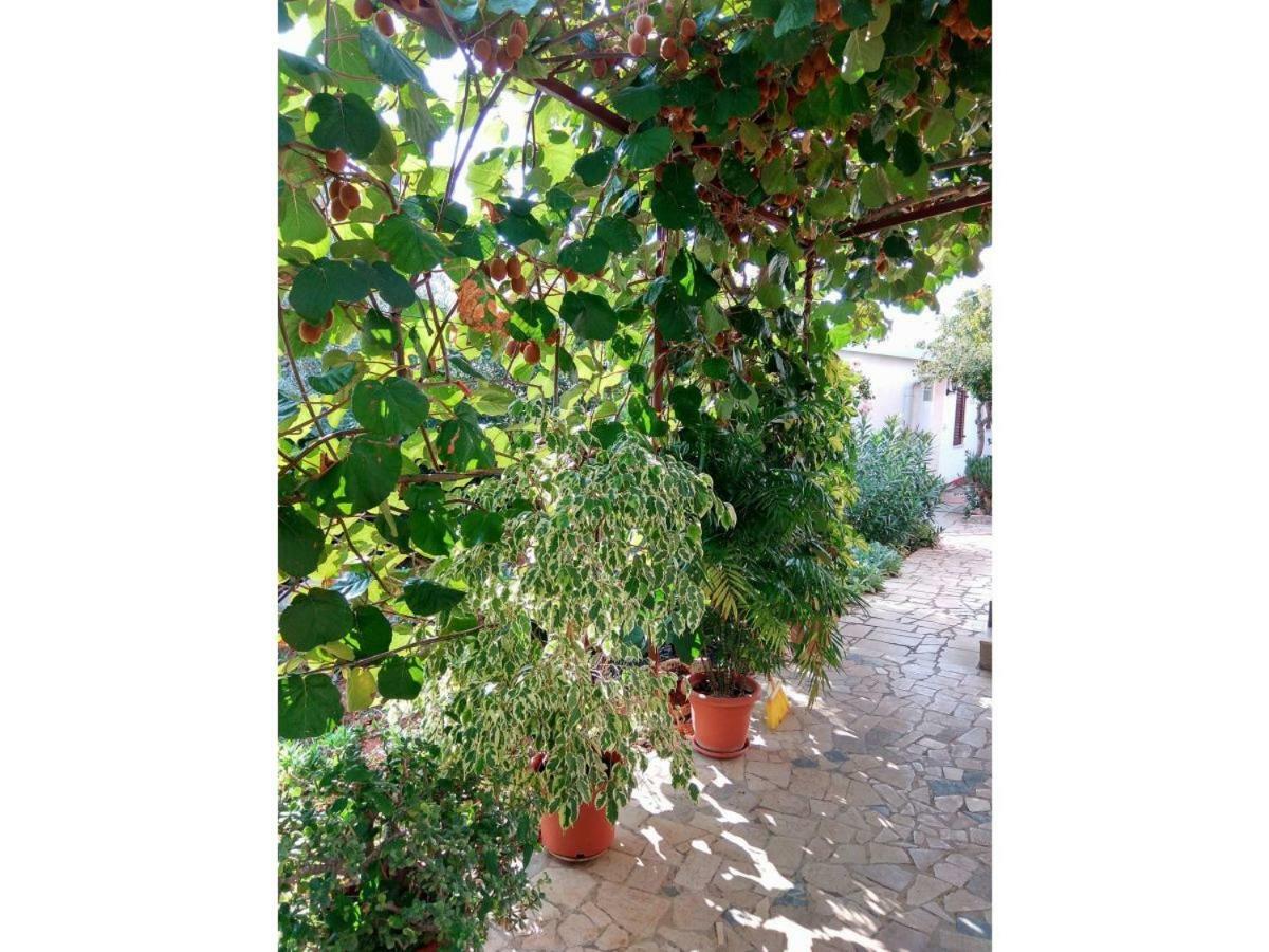Apartment Gracijana Porec Exterior photo